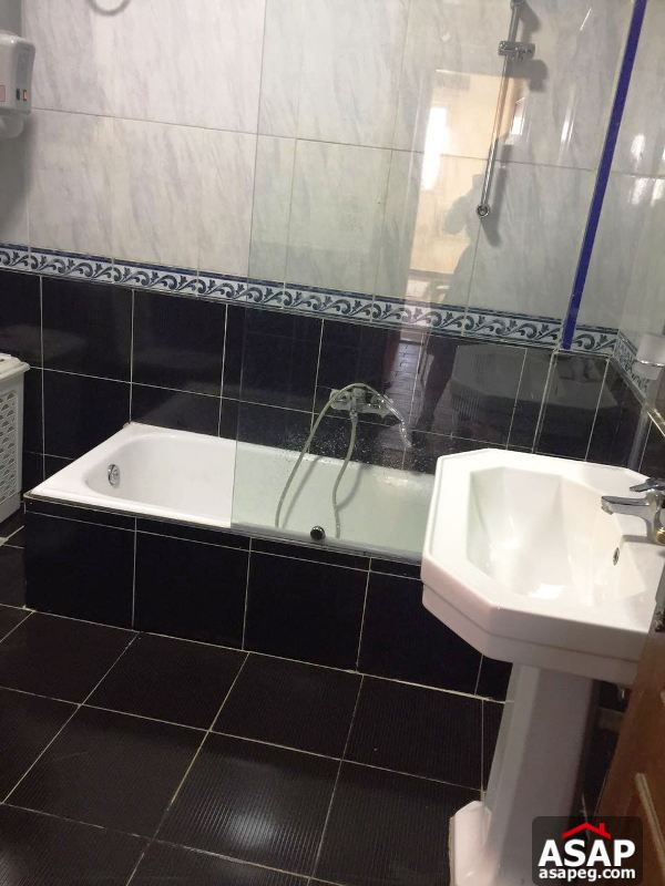 Apartment for rent in zamalek Apartment for rent in zamalek