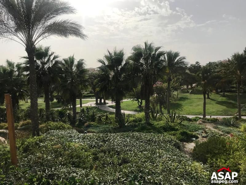 Villa with Pool for Rent in Arabella Villa with Pool for Rent in Arabella