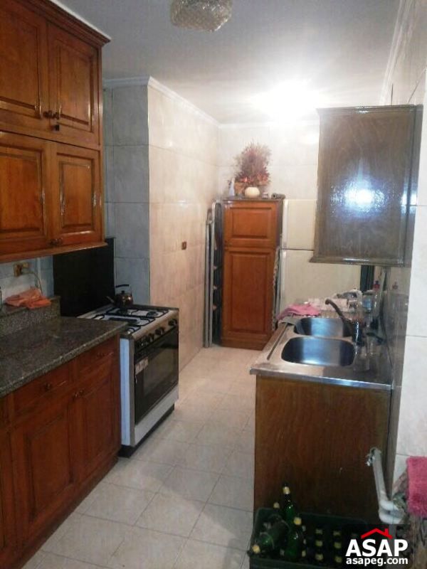 Apartment for rent in zamalek