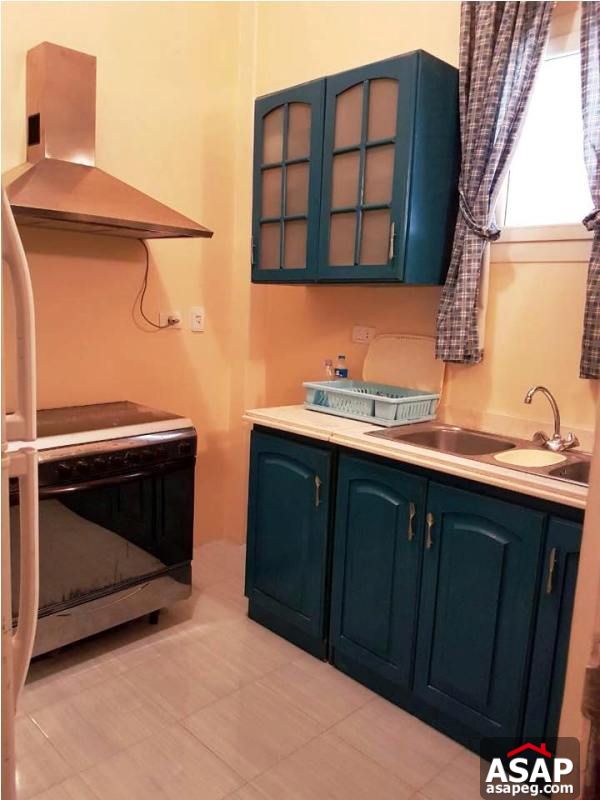 Apartment for Rent in Zamalek