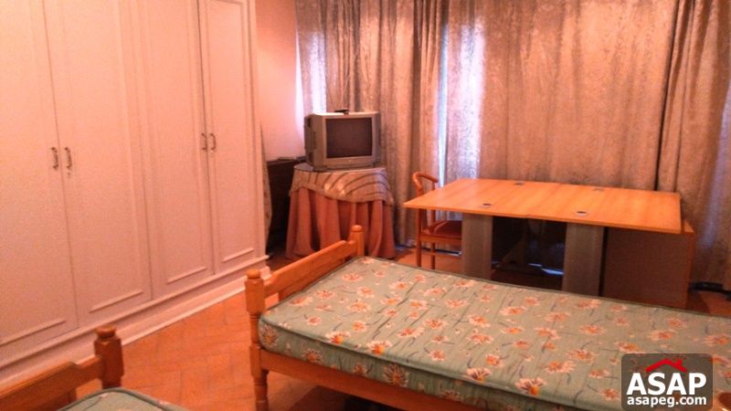 Furnished Apartment for Rent in Zamalek Furnished Apartment for Rent in Zamalek