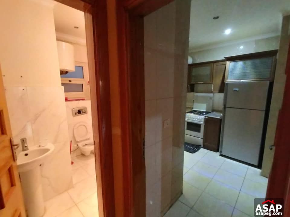 Apartment for Rent in Zamalek Apartment for Rent in Zamalek