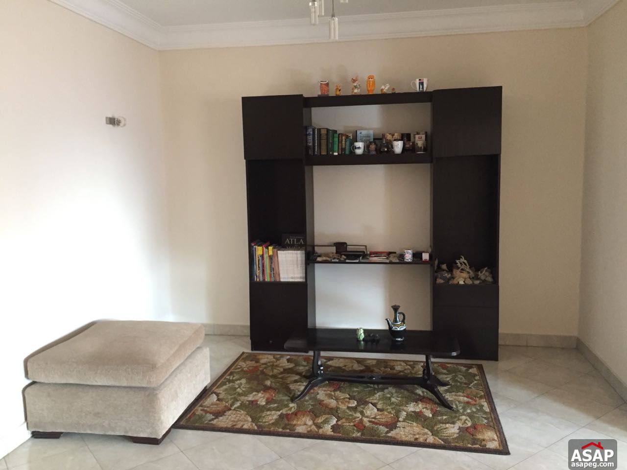 Furnished Property in Zamalek for Rent Furnished Property in Zamalek for Rent