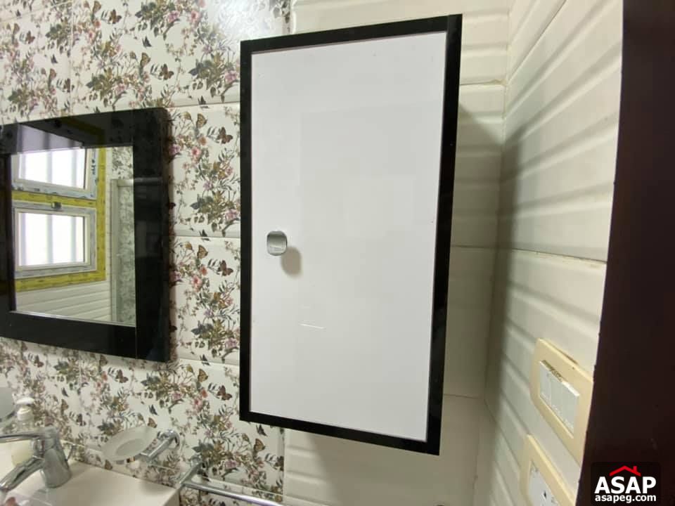 Duplex for Rent in Zamalek