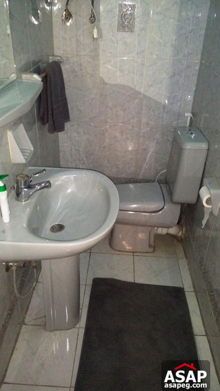 Apartment for Rent in Zamalek