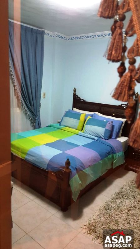 Apartment for Rent in Rehab Apartment for Rent in Rehab