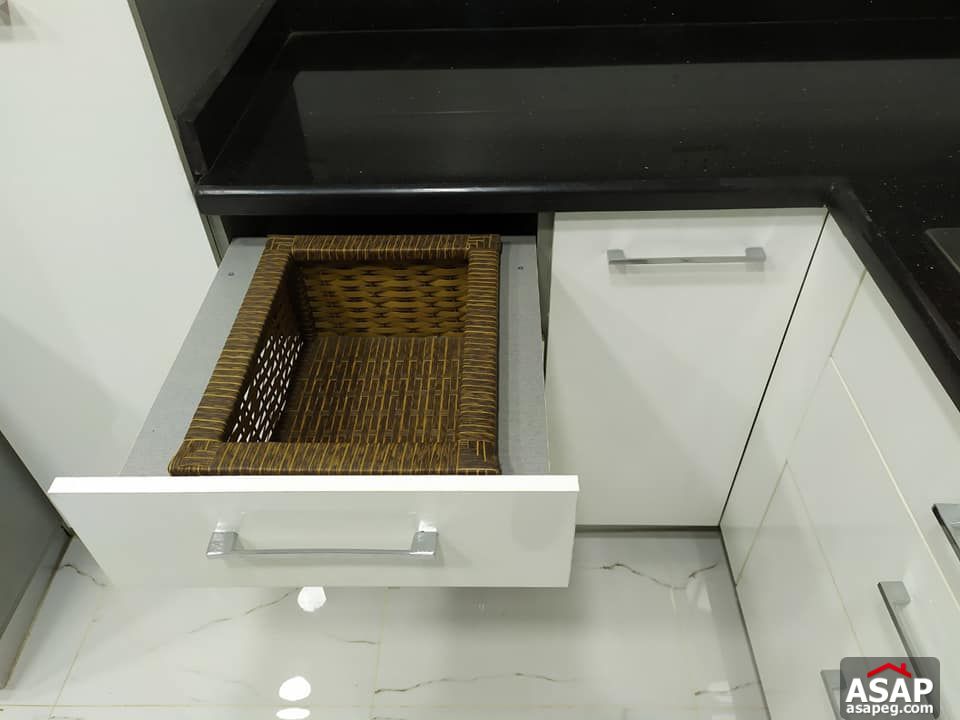 Furnished Apartment for Rent in Eastown Furnished Apartment for Rent in Eastown