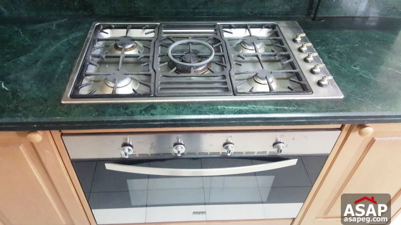 Furnished Apartment with Nile View for Rent in Maadi Furnished Apartment with Nile View for Rent in Maadi