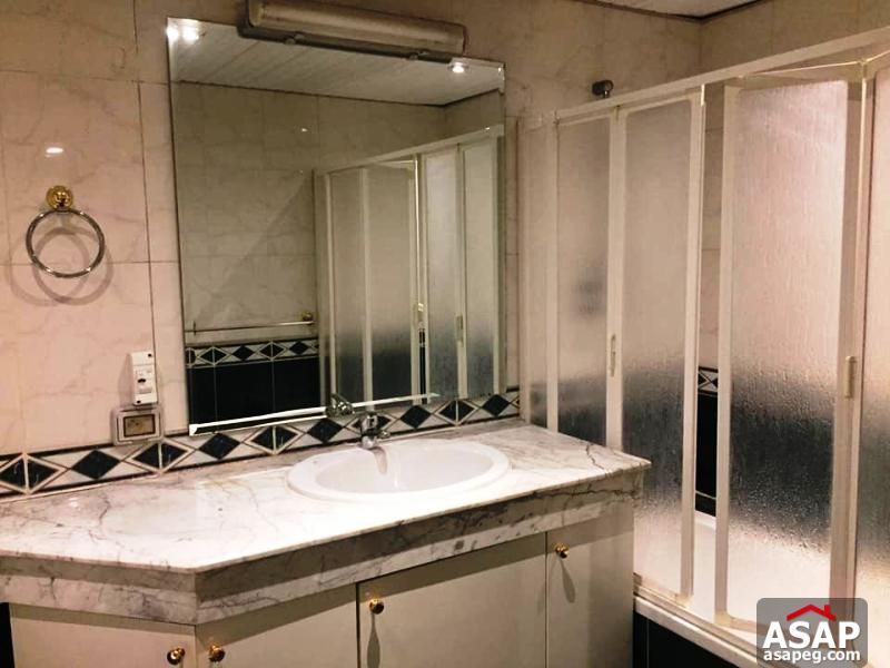 Flat for Rent in Zamalek Flat for Rent in Zamalek