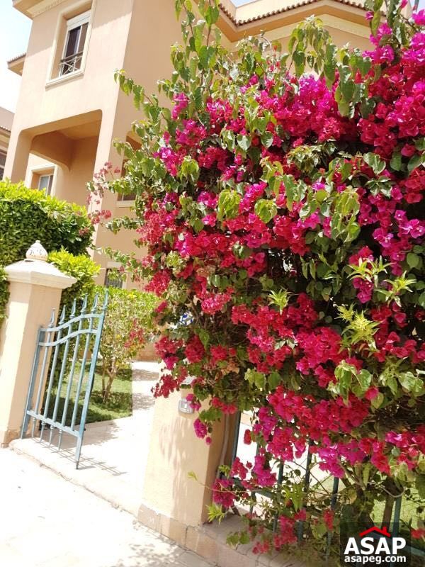 Villa for Rent in Katameya Heights