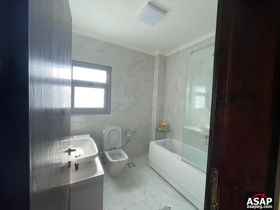 Apartment for Rent in Zamalek Apartment for Rent in Zamalek