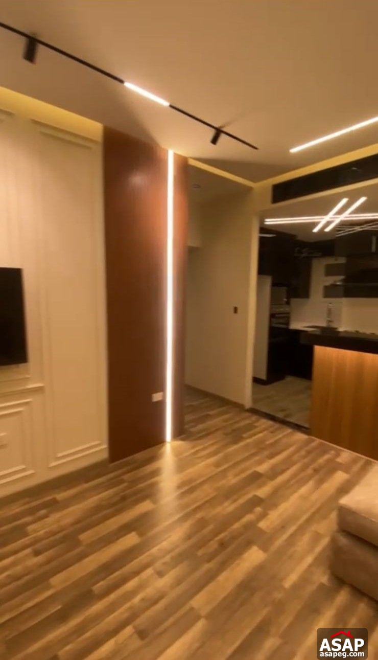 Furnished Apartment for Rent in Hyde Park Furnished Apartment for Rent in Hyde Park