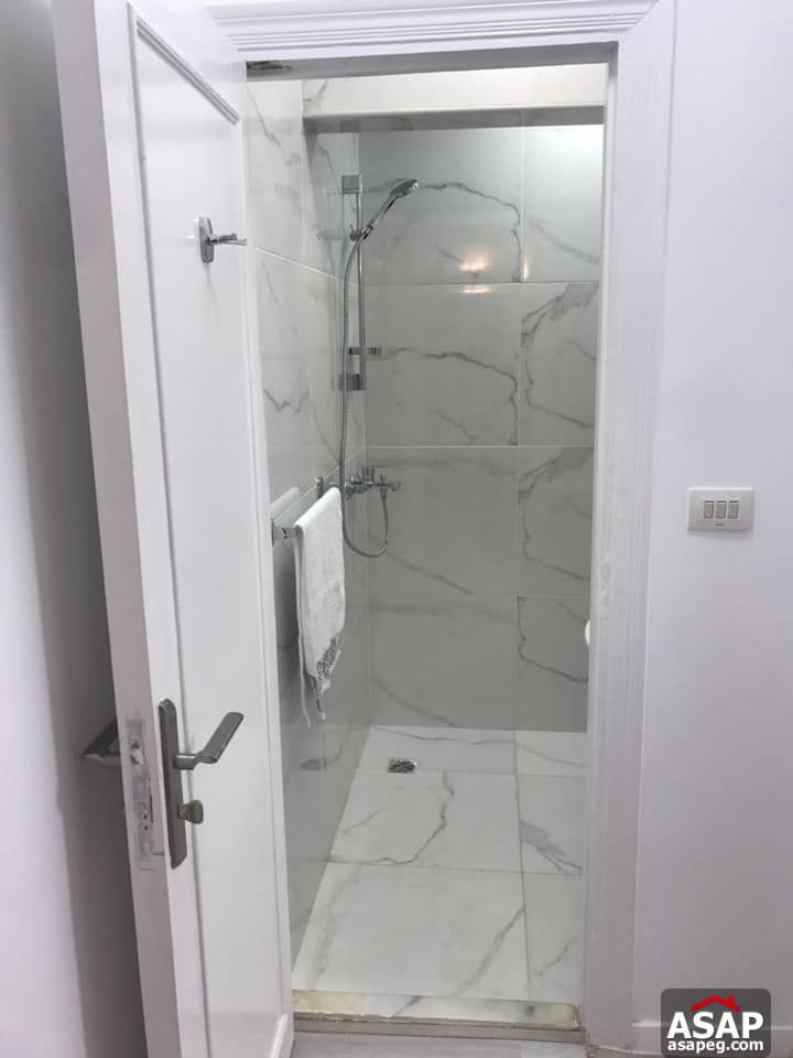 Flats for Rent in Zamalek Flats for Rent in Zamalek