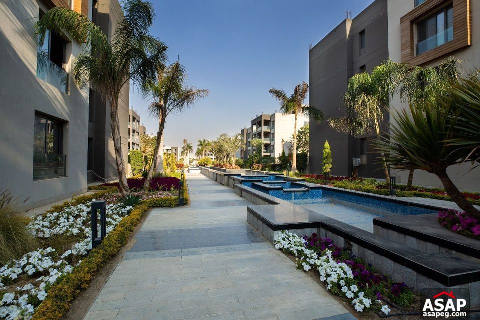 Furnished Apartment for Rent in Silver Palm Compound Furnished Apartment for Rent in Silver Palm Compound