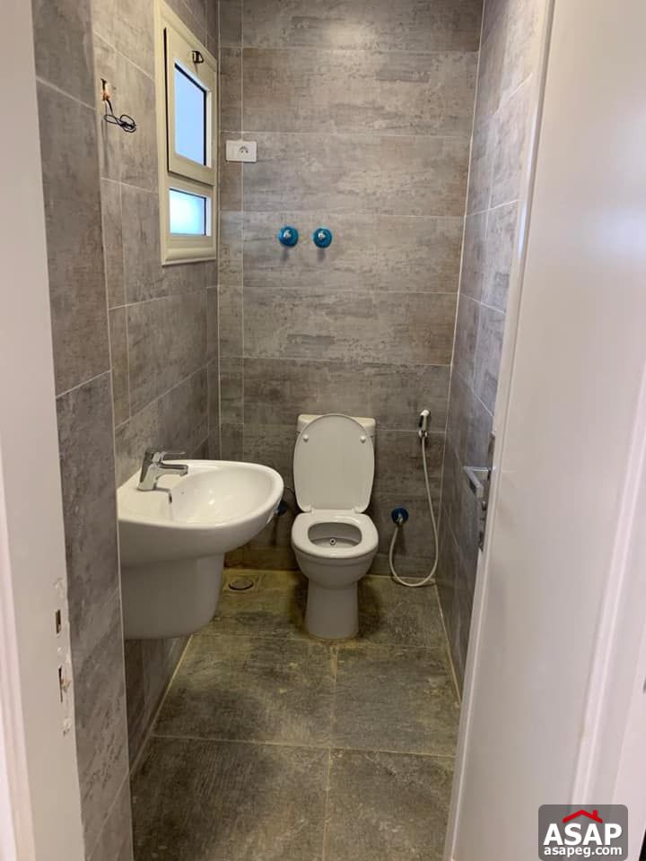 Flat for Rent in Zamalek Flat for Rent in Zamalek