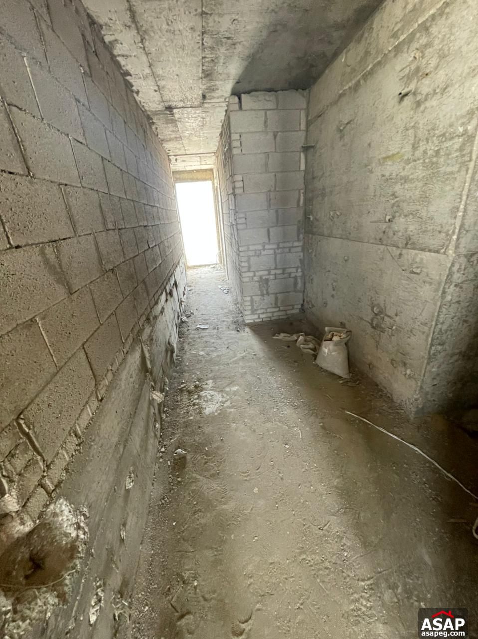 Penthouse with Pool for Sale in Lake View Residence Penthouse with Pool for Sale in Lake View Residence