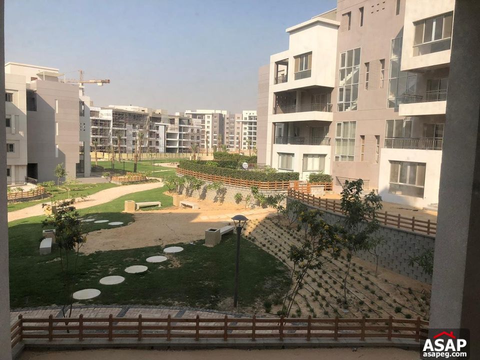 Rent Semi Furnished Apartment in New Cairo Rent Semi Furnished Apartment in New Cairo