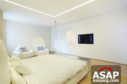 Nica Flat for Rent in Zamalek Nica Flat for Rent in Zamalek