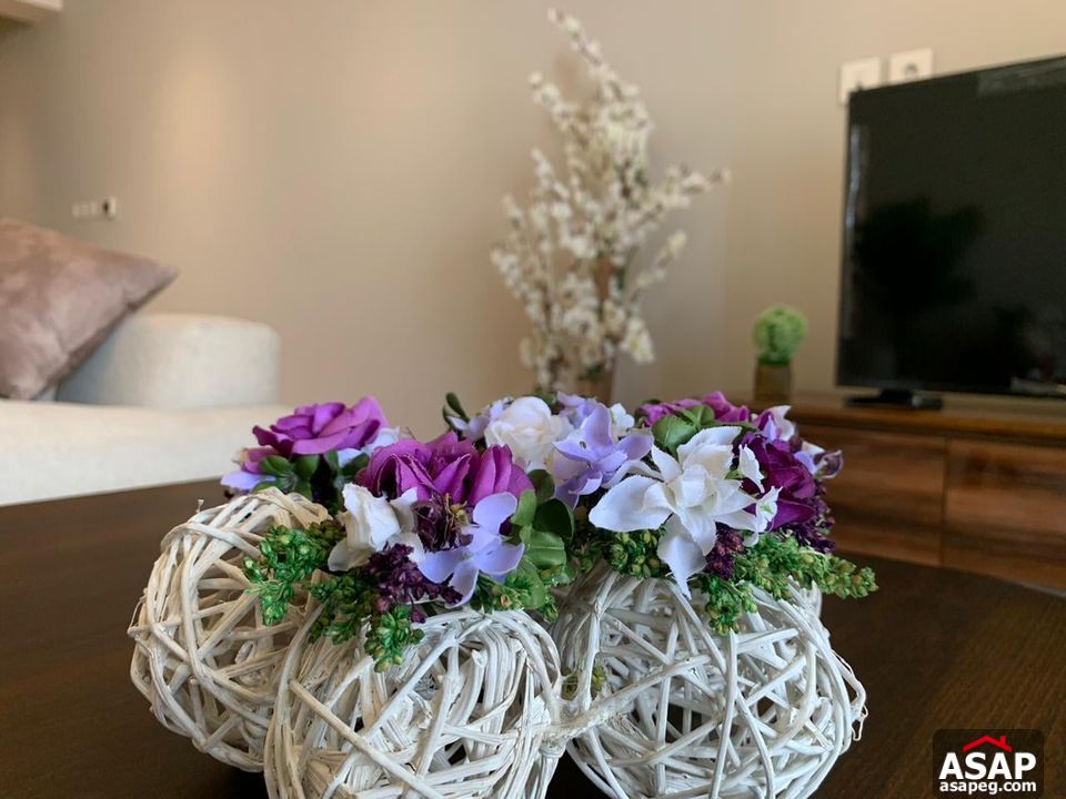 Furnished Apartment for Rent in CFC