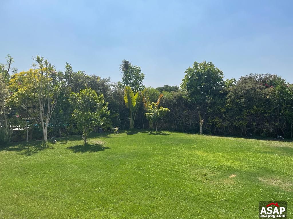 Furnished Stand Alone for Rent in New Cairo Furnished Stand Alone for Rent in New Cairo