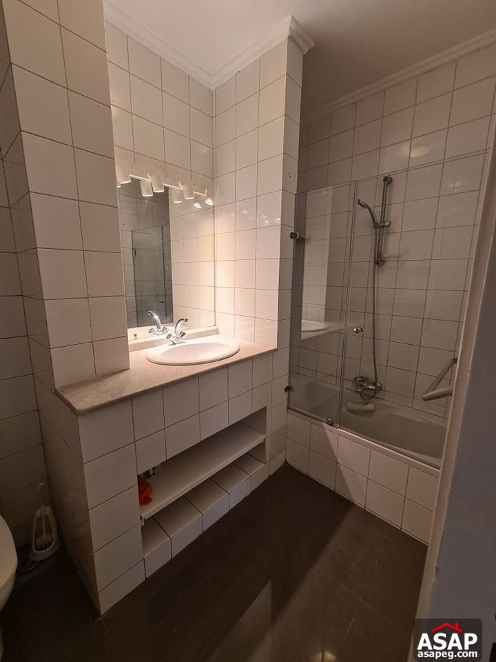 Duplex for Rent in Zamalek Duplex for Rent in Zamalek