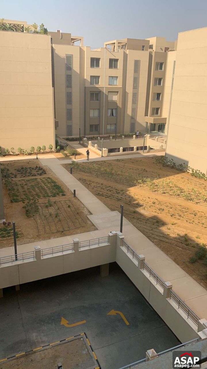 Apartment for Rent in Village Gate Apartment for Rent in Village Gate