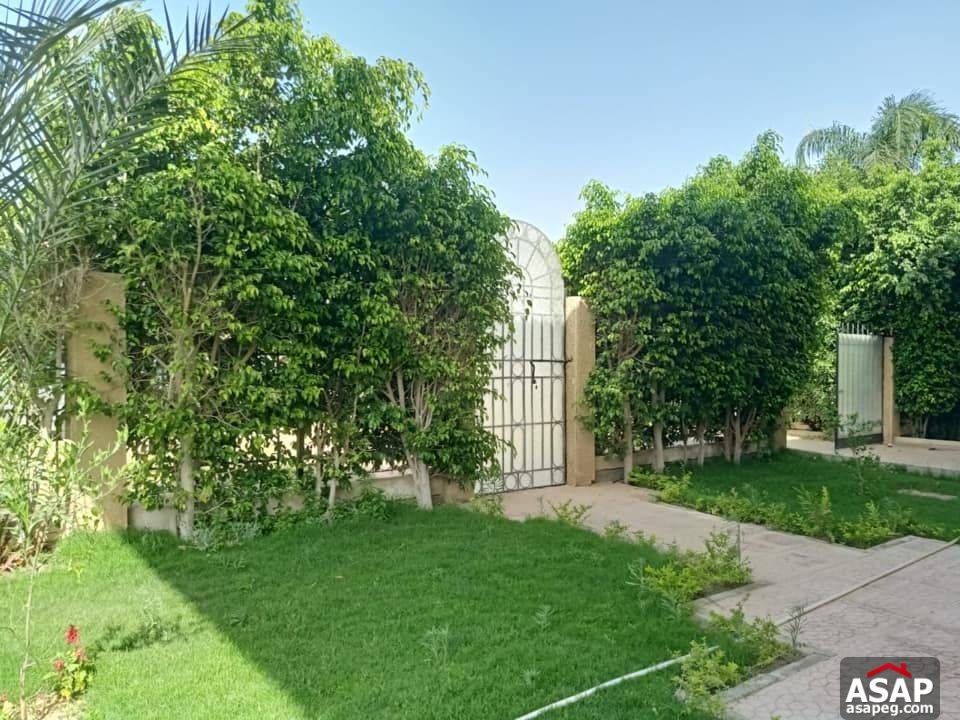 Villa for Rent in Rabwa - Sheikh Zayed