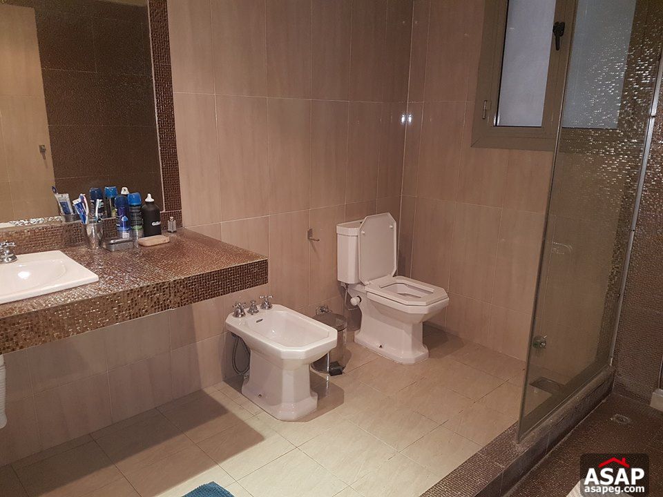 Apartments for Rent in Zamalek