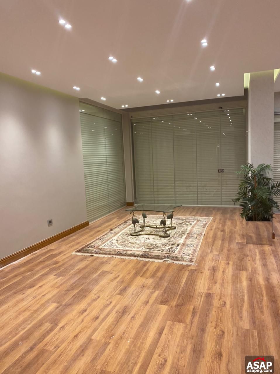 Duplex for Rent in VGK Palm Hills