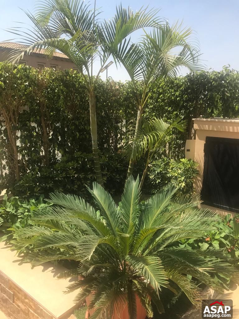 Fully Furnished and Air-conditioned Stand Alone Villa for Rent in Mivida