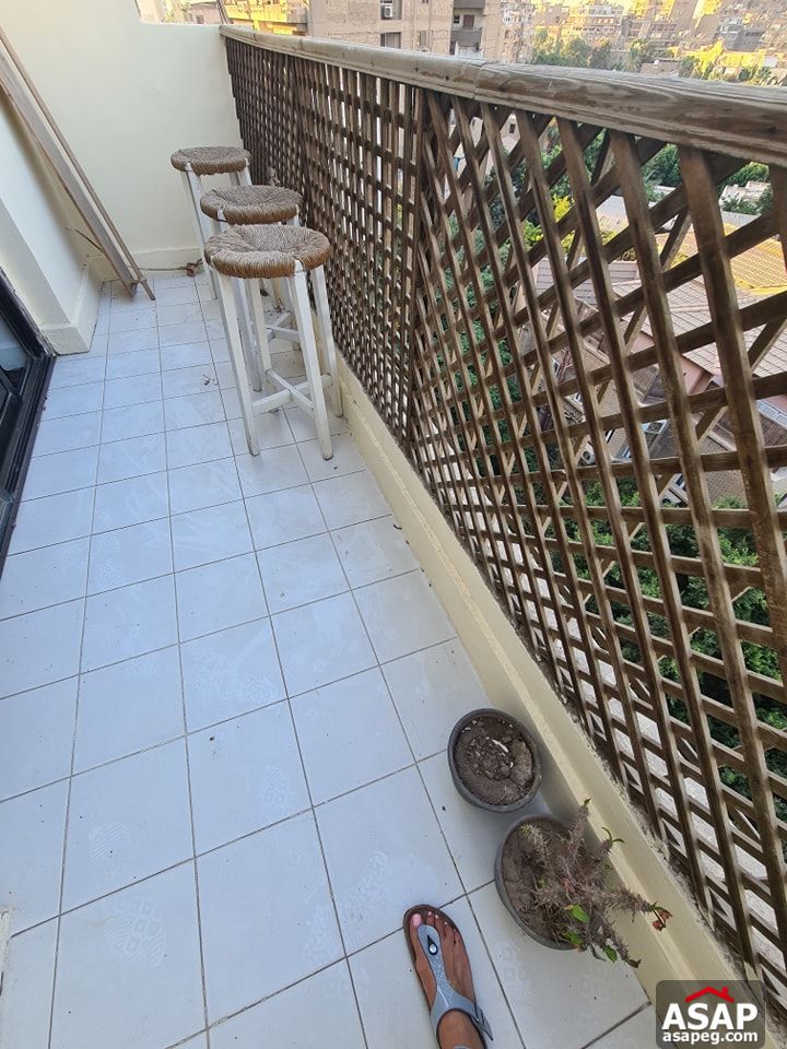 Duplex for Rent in Zamalek Duplex for Rent in Zamalek