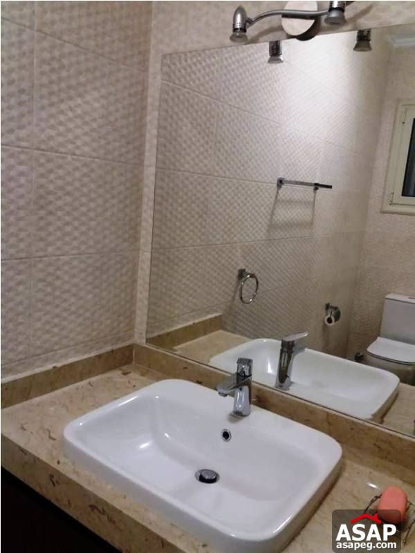 Nice Flat for Rent in Zamalek Nice Flat for Rent in Zamalek
