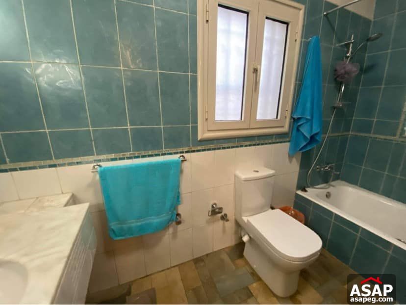 Furnished Flat for Rent in Zamalek Furnished Flat for Rent in Zamalek