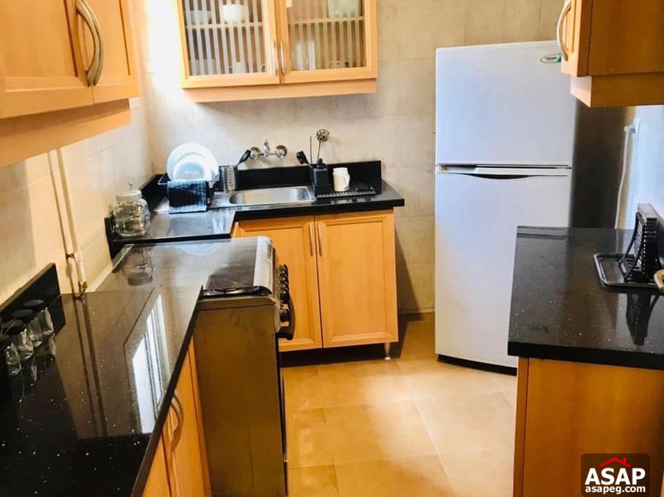 Apartment for Rent in Zamalek Apartment for Rent in Zamalek