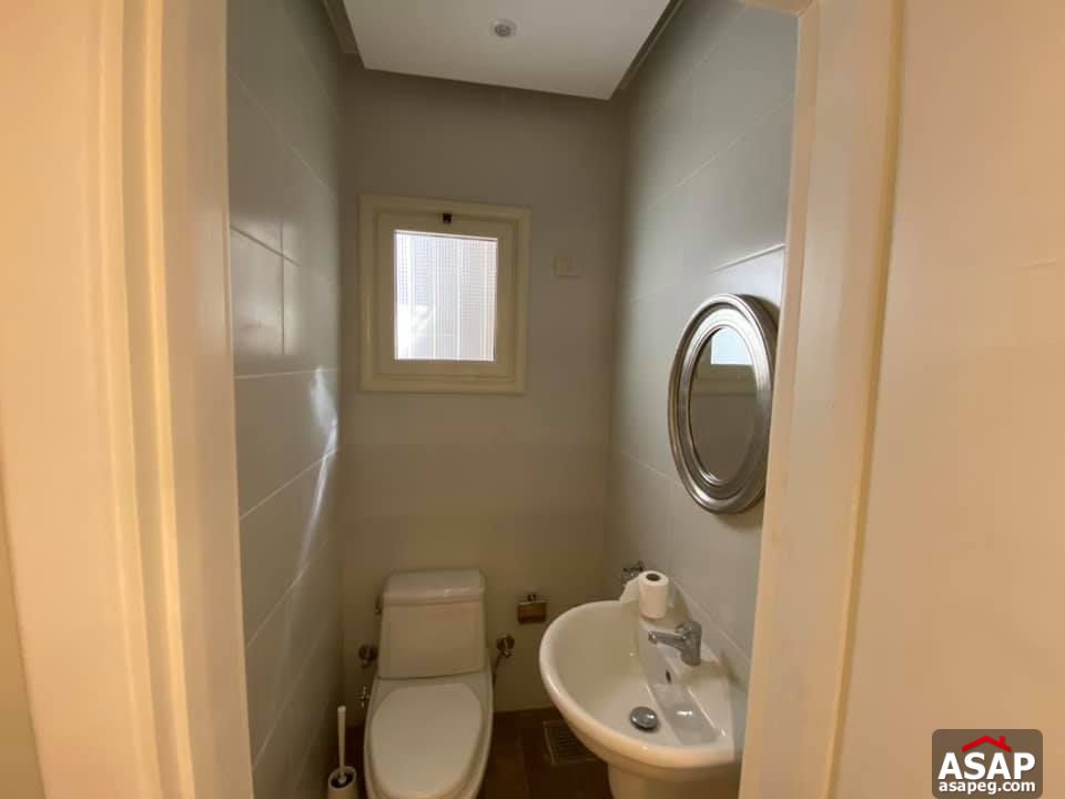 Apartment for Rent in Zamalek Apartment for Rent in Zamalek