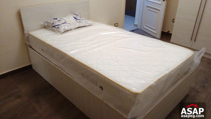 Ultra Modern Furnished Apartment in Zamalek Ultra Modern Furnished Apartment in Zamalek