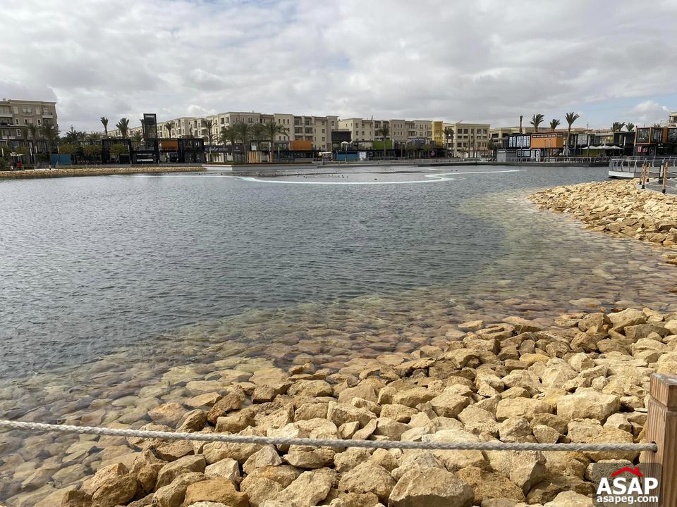 Twin House for Rent in Mivida Compound