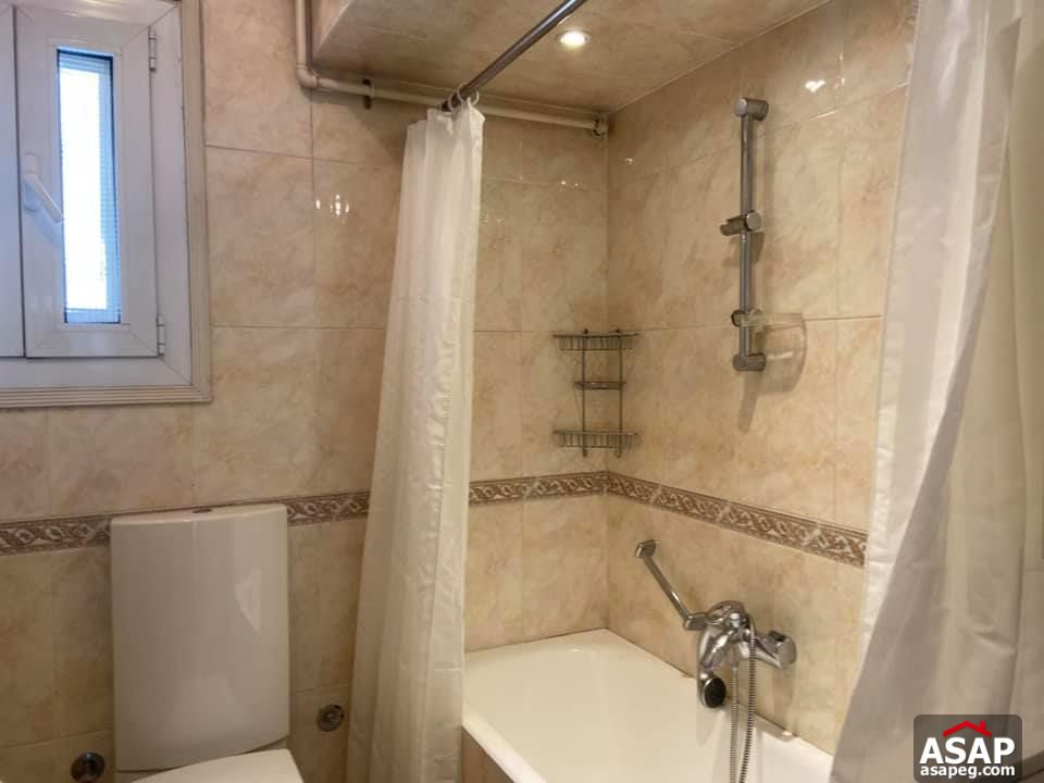 Apartment for Rent in Zamalek Apartment for Rent in Zamalek