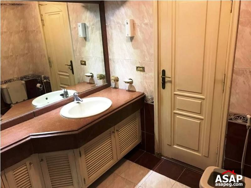 Furnished Flat for Rent in Zamalek Furnished Flat for Rent in Zamalek