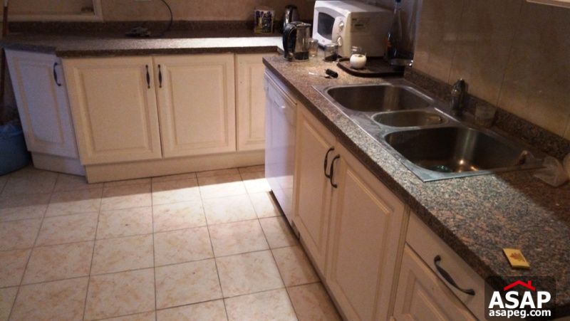 Apartment for rent in zamalek