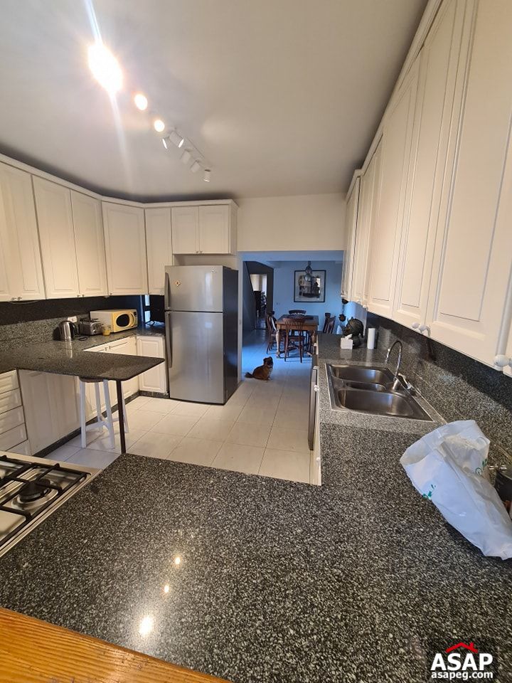 Duplex for Rent in Zamalek Duplex for Rent in Zamalek