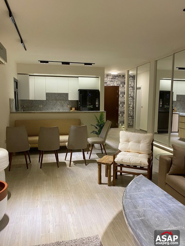 Furnished Apartment for Rent in Eastown Compound