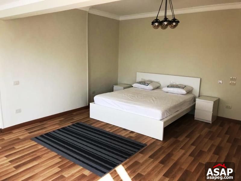 Modern Flat for Rent in Zamalek Modern Flat for Rent in Zamalek