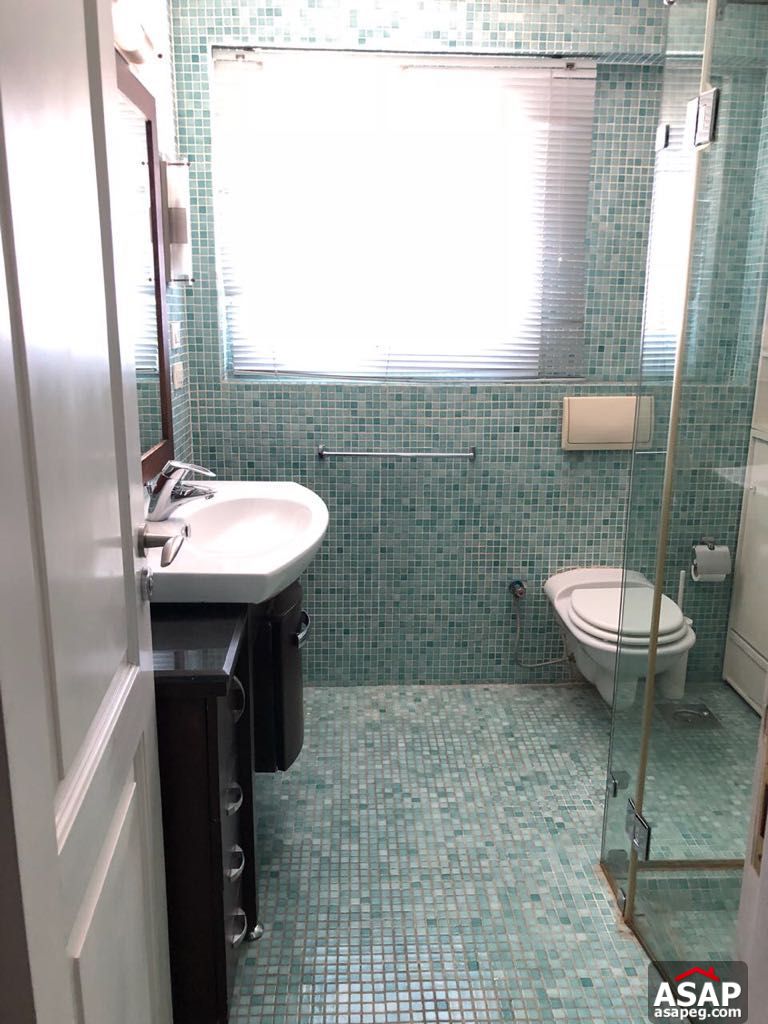 Furnished Apartment for Rent in Zamalek Furnished Apartment for Rent in Zamalek