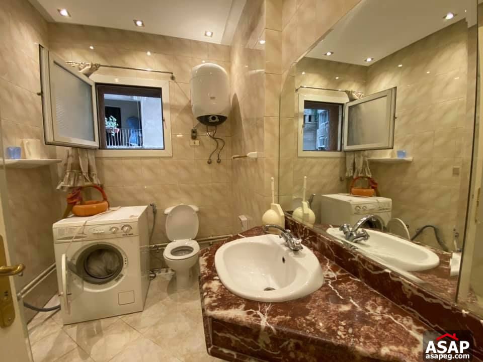 Apartment for Rent in Zamalek Apartment for Rent in Zamalek