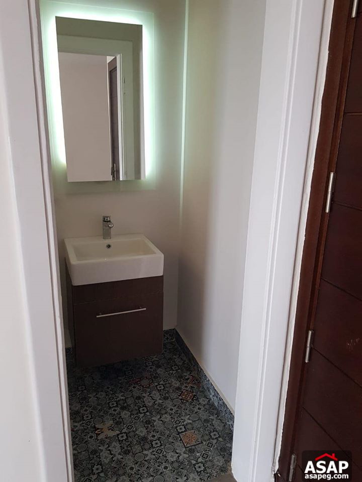 Apartment for Rent in Zamalek Apartment for Rent in Zamalek