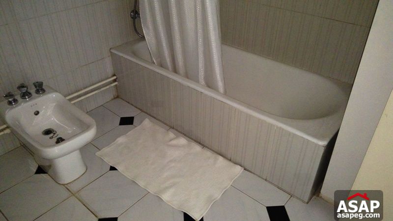 Furnished Apartment with Nice Balcony in Zamalek