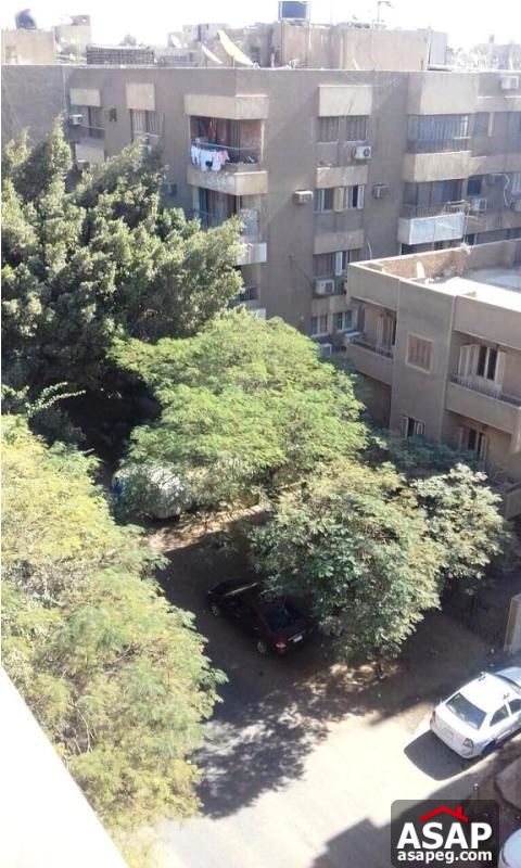Furnished Duplex in Maadi for Rent