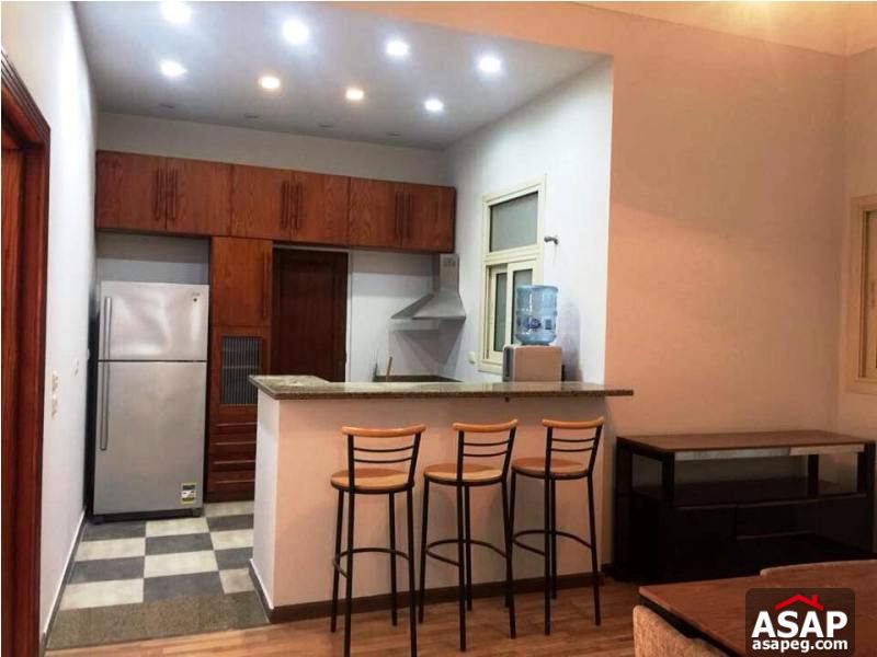 Furnished Apartment with Terrace for Rent in Zamalek Furnished Apartment with Terrace for Rent in Zamalek