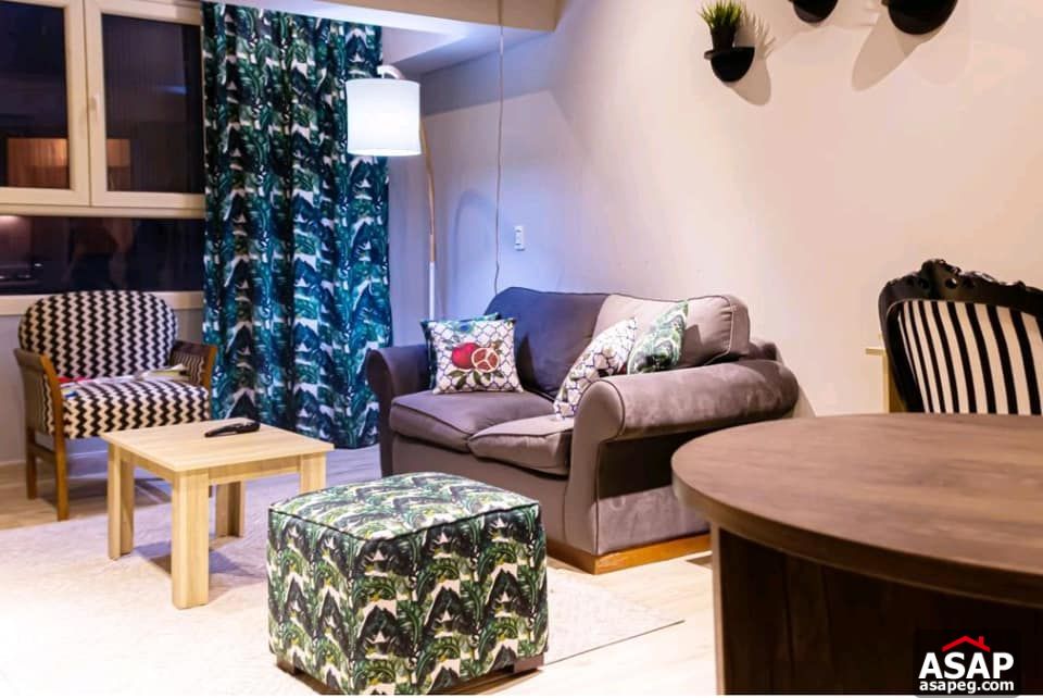 Furnished Flat for Rent in Zamalek Furnished Flat for Rent in Zamalek